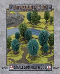Small Summer Woods