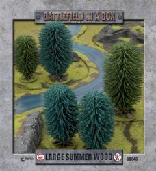 Large Summer Woods