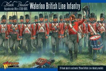 Napoleonic British Line Infantry (Waterloo)(24)