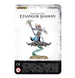 Tzeentch Arcanites Tzaangor Shaman